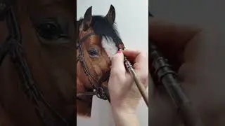Horse colour Pencil drawing ✍️