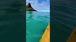 I found Moana in real life 🌊🌺 #shorts #moana #ocean
