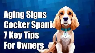 Don't Miss These 7 Signs Your Cocker Spaniel is Aging &ndash; Essential for Every Owner!