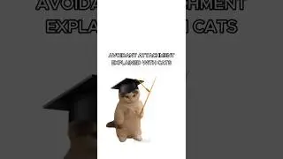 Attachment Styles Explained With Cats 🐱&hearts;️ | Mewtok Ep-2