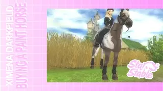 sso ─ buying a paint horse!