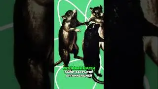 Иллюминаты: Запрещенная организация и теории заговора