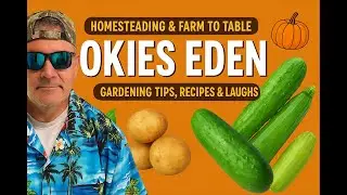 Outdoor/Indoor work, seed selection