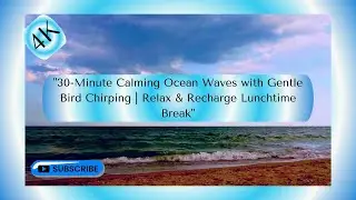 30 Minute Calming Ocean Waves with Gentle Bird Chirping  Relax & Recharge Lunchtime Break