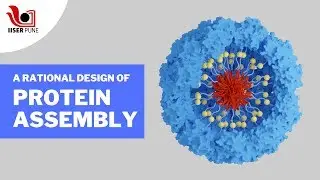 A Rational Design of Protein Assembly: Research at IISER Pune