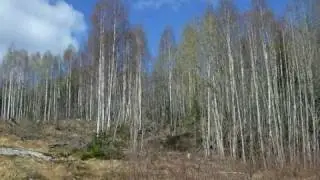 Time-lapse: Spring to Winter