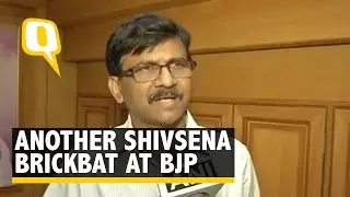 Smaller Parties Are Not Given Importance in BJP-LED NDA: Sanjay Raut