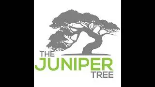 Juniper Tree Service -