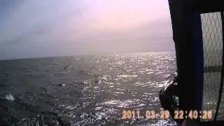 Windsurfing Bayside