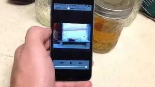 EyesOnHives: Honey Bee Health Monitor App Demo