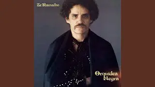 Orquídea Negra