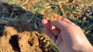 WOW!! Digging Amazing Historical Artifacts Out of the FOZEN Farm!!