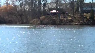 20150404 Noxontown Regatta #2 at St Andrews Mens #6 8