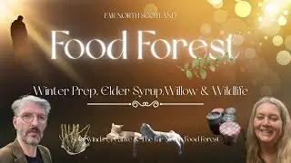 Winter in the Food Forest - Wildlife Habitat, December Garden Tasks, Elderberry Syrup at #foodforest