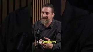 Health Over Wealth  Why the Rich Value Longevity #shorts