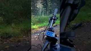 Focus Jam2 6.8 NINE #focusjam2 #bosch #emtb