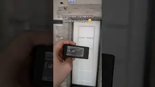 Тгк: Понимаев ты че делаешь #pwnagotchi #wifi #gadgets #рек
