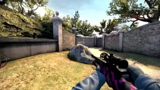 GuardiaN vs Titan - AWP ACE!