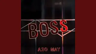 BOSS (Chinese Version)