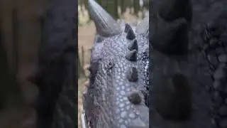 POV riding a dinosaur 🦖