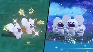 Shiny Tandemaus after 1089 Encounters (Shiny Maushold Evolution)