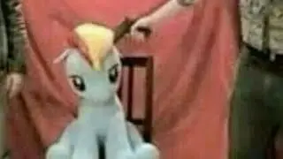 LIKE THE VIDEO OR THE PONY GETS SHOT