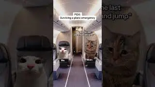 CAT MEMES 🐱Surviving a plane emergency #catmemes #relatable #relationship
