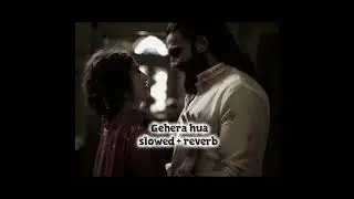 Gehera Hua ❤️ Slowed Reverb | Heart Touching Long Version | Feel The Vibes💛