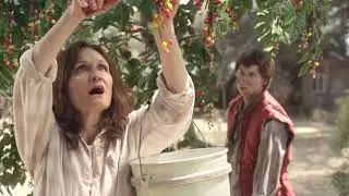 Skittles - Plant (2010, USA)