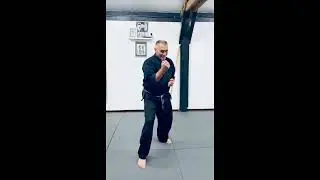 Empty Hand And Kobudo