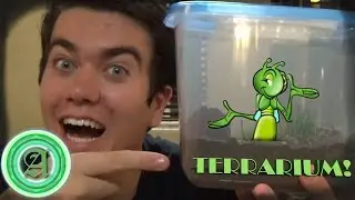 Making a Habitat for Bugs! (Terrarium)