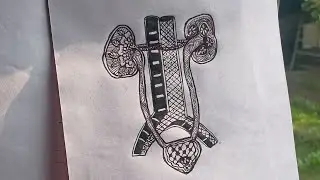 How to draw kidney mandala art . When science meet mandala 🖋️#foryou