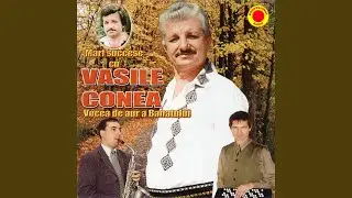 Ce sta vantul sa tot bata, Necajit am fost in lume