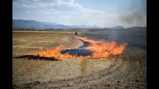 Crop Residue Burning Registration Instructions