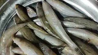 Bela Fish I Mach Bazar I Fish Cutting Video I Ladies Fish Market I Bela Mach Video