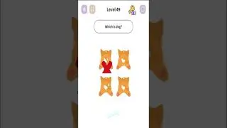 Brain Ok: Puzzle Brain - Level 49