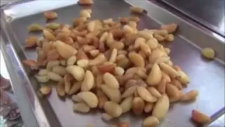 雲旭農學市集180728沈金松老師糖醋蒜製作教學