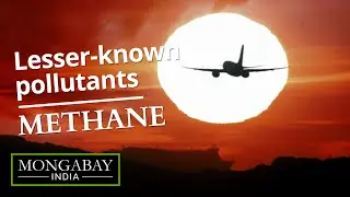 The other greenhouse gas we should talk about: Methane | Lesser-known pollutants