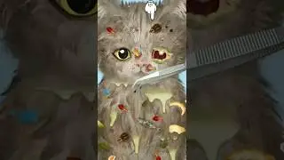 ASMR Remove Cat Maggot & Warms Infected #asmr  #makeupstopmotionanimation  #satisfying shorts