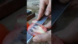 Dull to Dicing! Sharpening an Old Saw Blade by Hand #shorts #restoration #kniferestoration