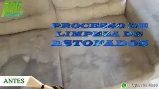 Processo de Limpeza e Higieniza&ccedil;&atilde;o de Estofados