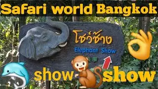 #bangkok లో safari world లో కోతుల మద్య boxing ,డాల్ఫిన్ డాన్స్ ...అబ్బో super#safari world #bangkok 
