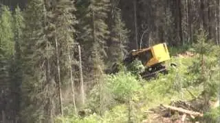Feller Buncher Tigercat LX830C