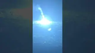 PS2 Shark #fireworks #silvestervorfreude #firecracker #b&ouml;ller #polenb&ouml;ller #explosion #feuerwerk #2g
