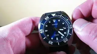 PANTOR SeaLion Automatic Mens Diving Watch - A Smaller Seiko TURTLE?!