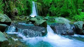 🌌 Calm Forest River Sounds at Night &ndash; Sleep Faster Naturally