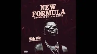 Shatta Wale - New Formula (Audio Slide)