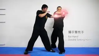 詠春小念頭 - 攔手/分掌/雙枕