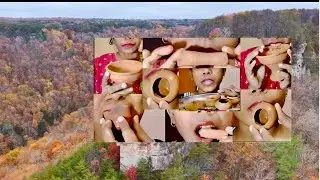Changing Colors Of A Forest In Autumn