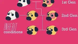 Biodiversity loss and conservation